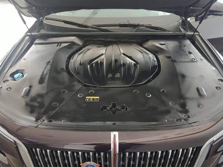 Фото 10 - Hongqi H9