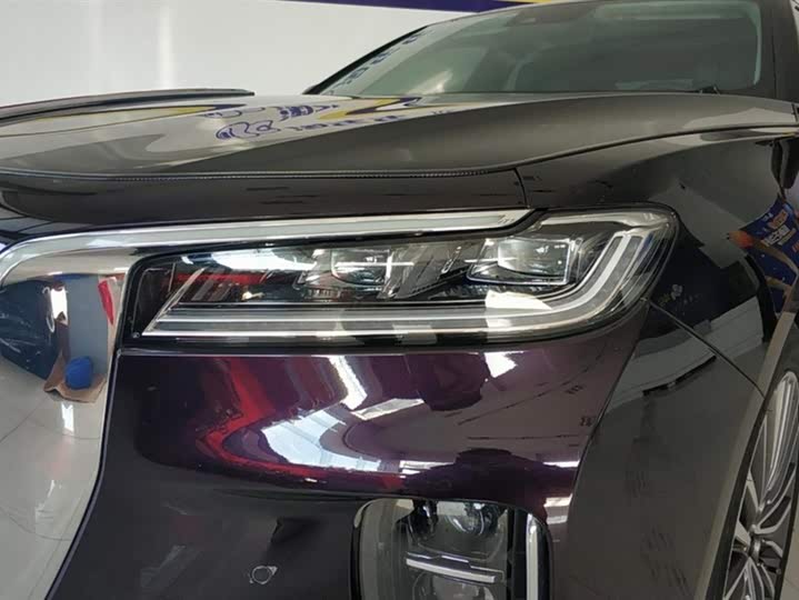 Фото 5 - Hongqi H9