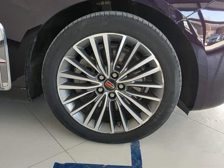 Фото 6 - Hongqi H9