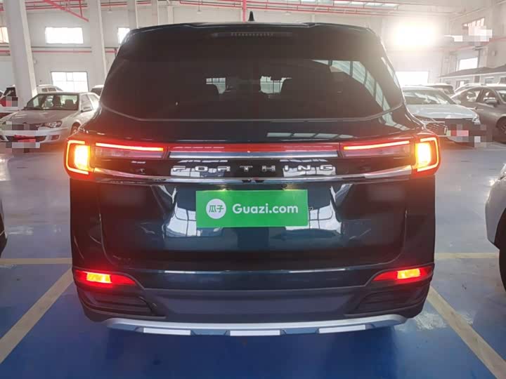 Фото 6 - Dongfeng Forthing T5