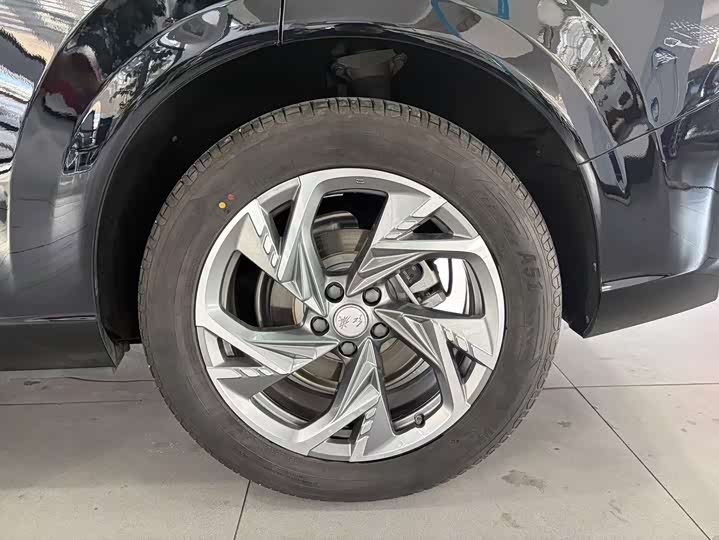 Фото 15 - Hongqi HS3