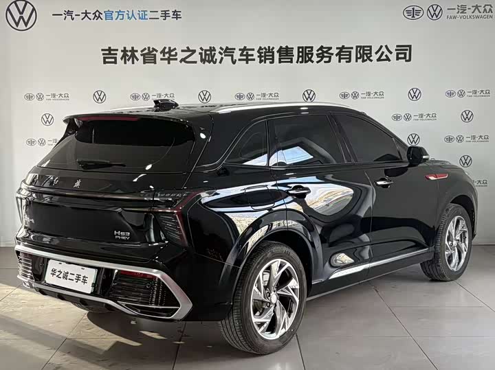 Фото 4 - Hongqi HS3
