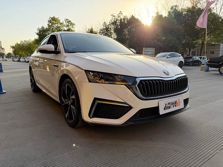 Фото 3 - Skoda Octavia Pro