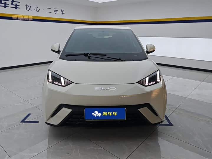 Фото 2 - BYD Seagull