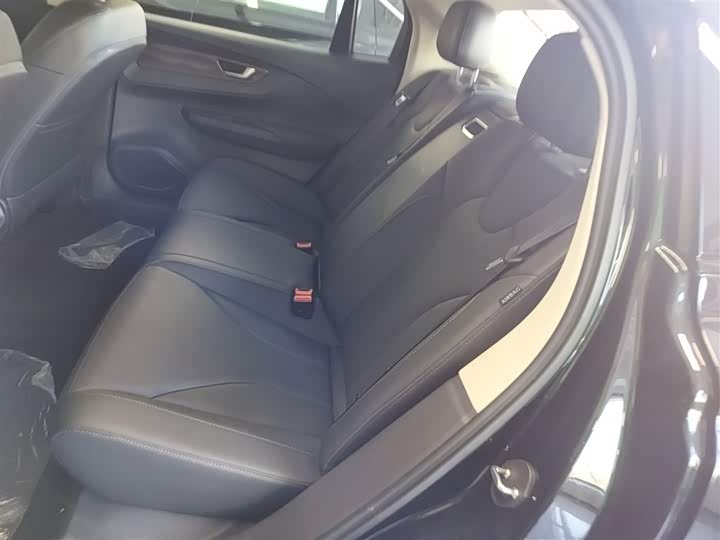 Фото 17 - Hongqi E-QM5