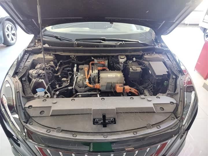 Фото 20 - Hongqi E-QM5