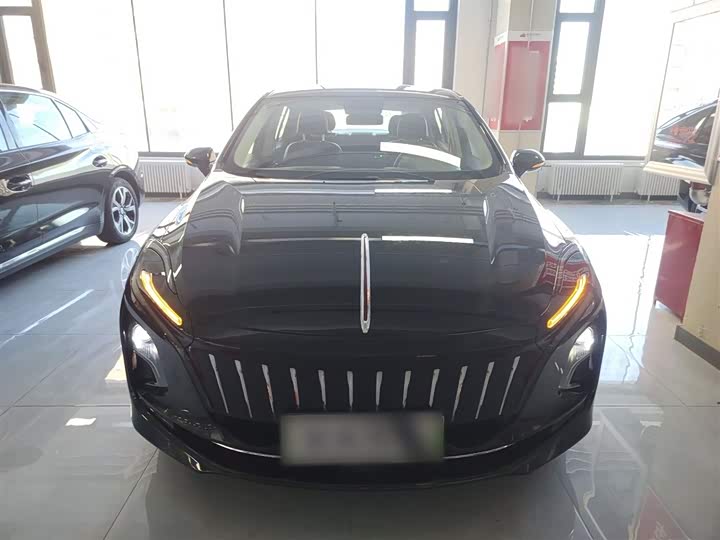 Фото 3 - Hongqi E-QM5