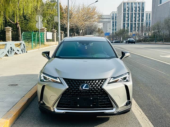 Фото 2 - Lexus UX