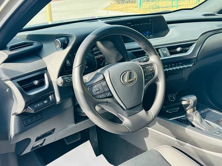 Фото 9 - Lexus UX