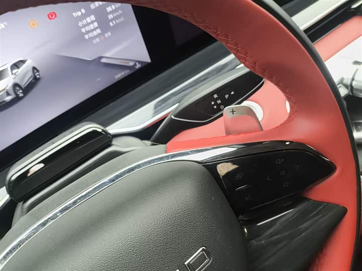 Фото 14 - Exeed RX