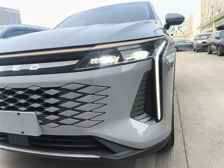 Фото 24 - Exeed RX