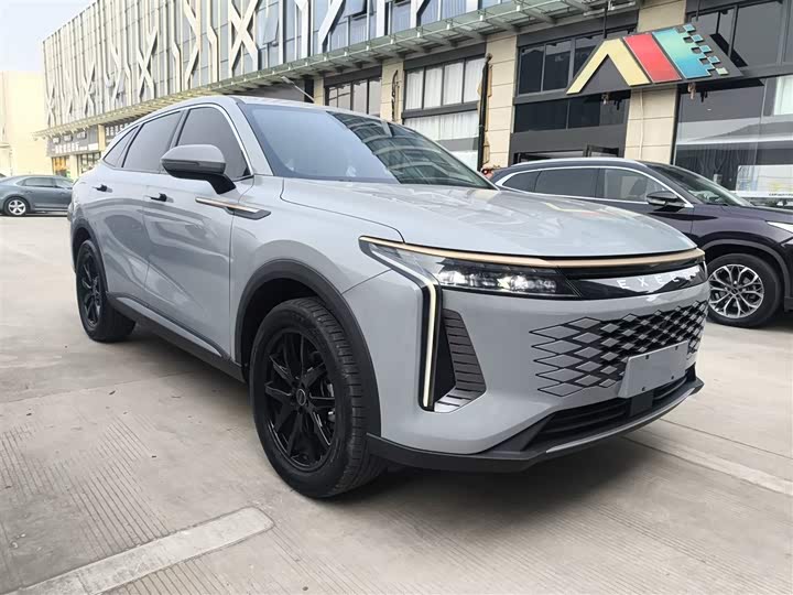 Фото 4 - Exeed RX