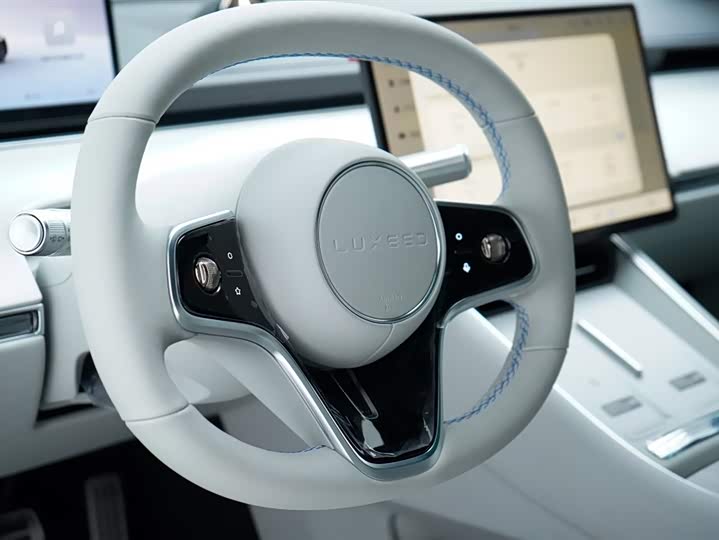 Фото 20 - Luxeed S7