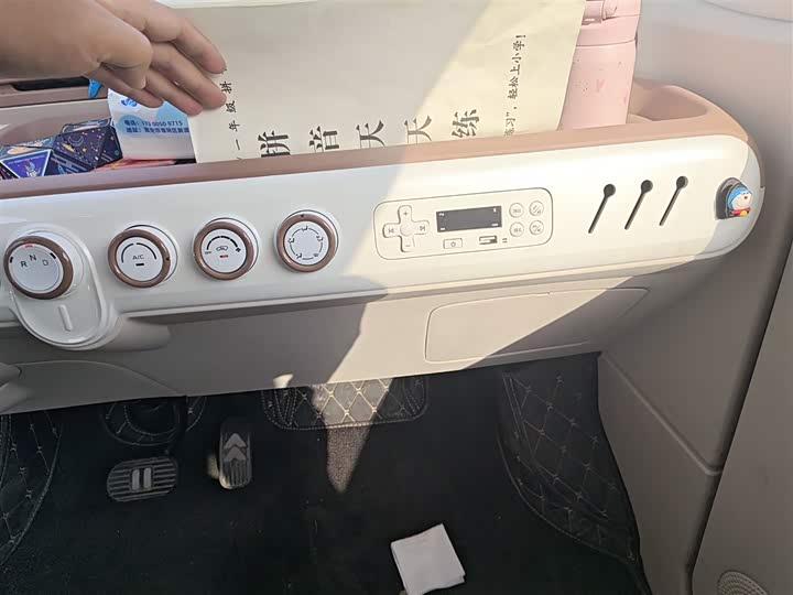 Фото 13 - Bestune Pony