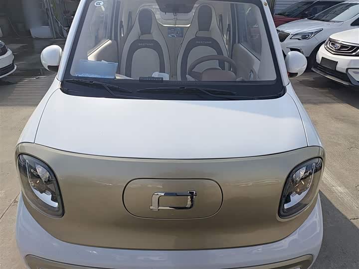 Фото 20 - Bestune Pony