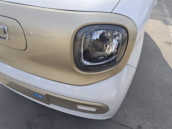 Фото 24 - Bestune Pony