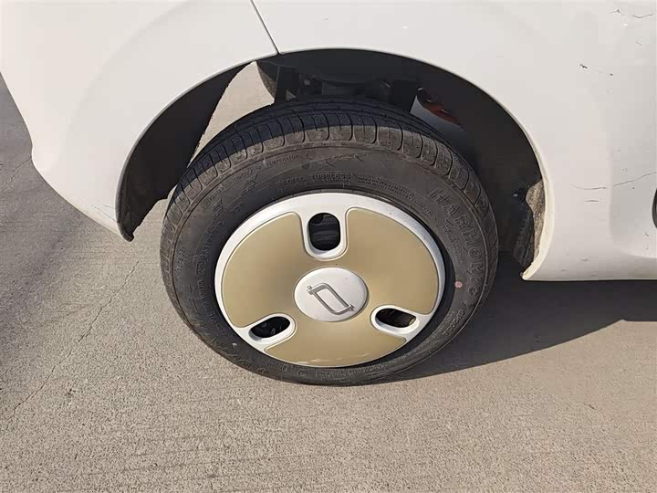 Фото 26 - Bestune Pony