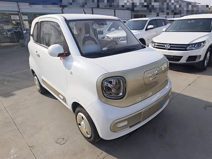 Фото 4 - Bestune Pony