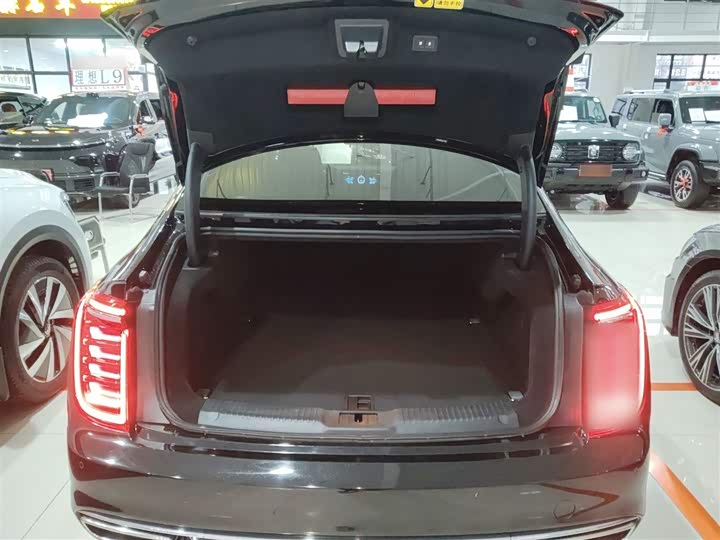 Фото 19 - Hongqi H9