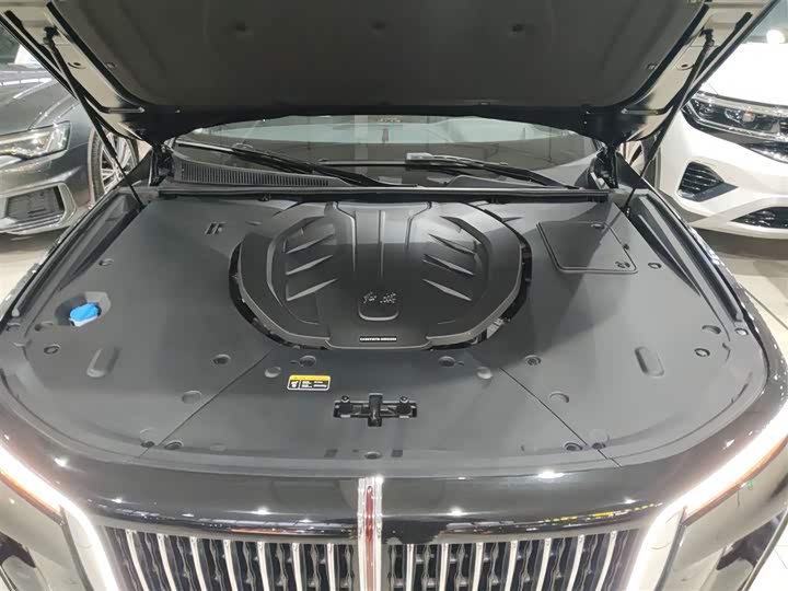 Фото 20 - Hongqi H9