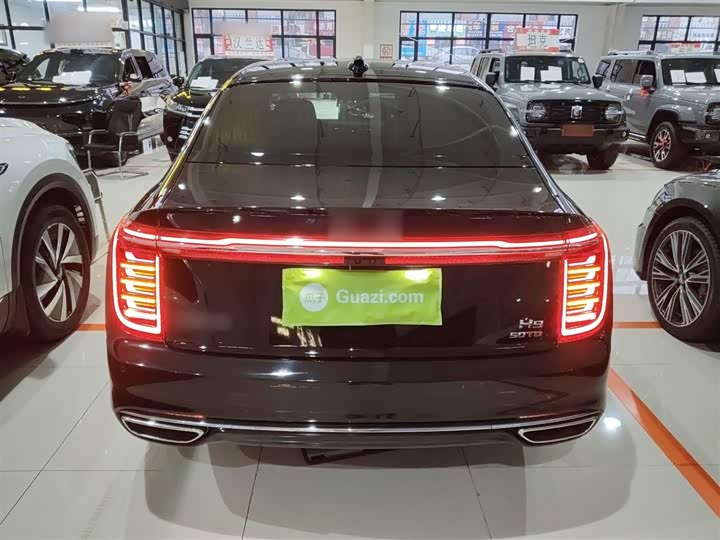 Фото 6 - Hongqi H9