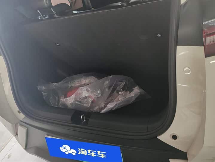 Фото 4 - BYD Seagull