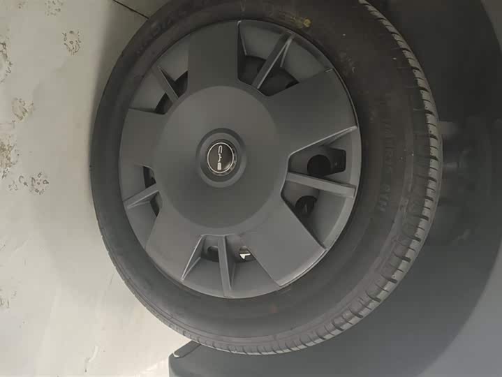 Фото 6 - BYD Seagull