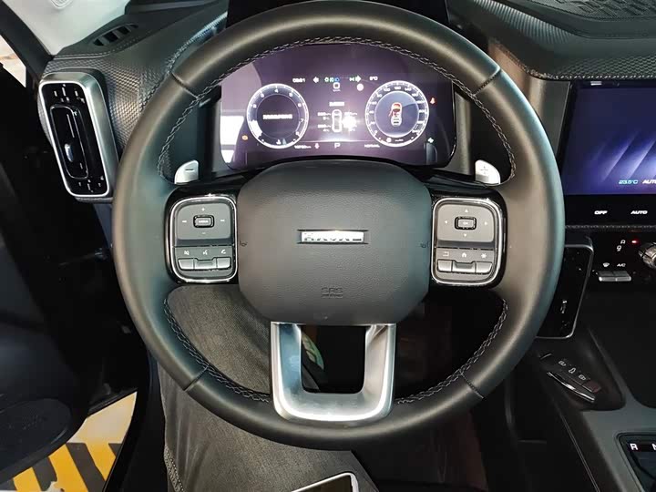 Фото 11 - Haval Dargo