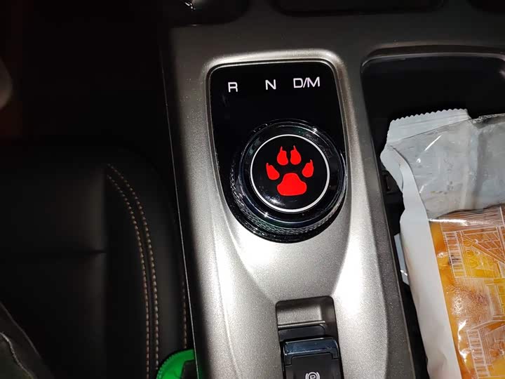 Фото 14 - Haval Dargo