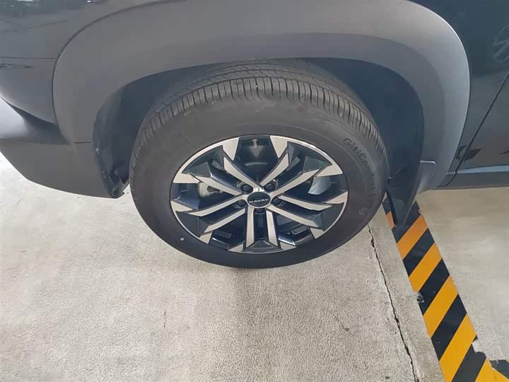 Фото 23 - Haval Dargo