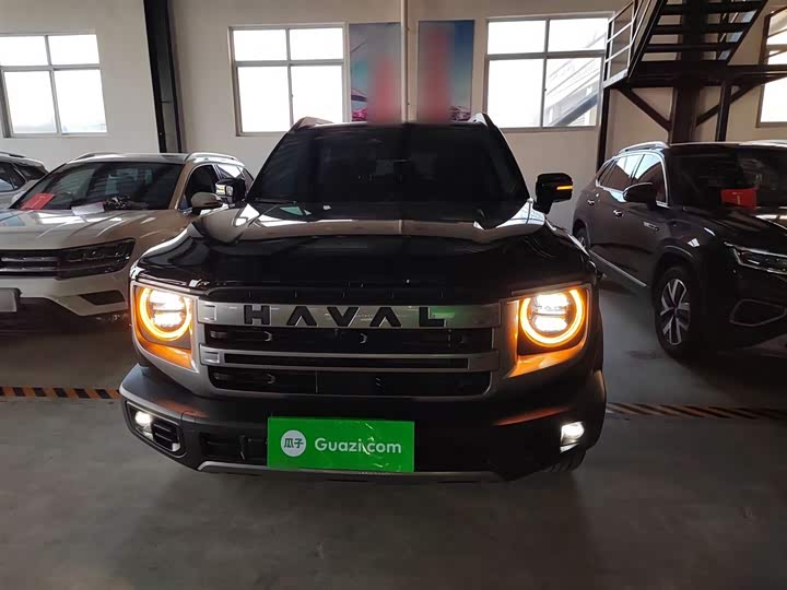 Фото 3 - Haval Dargo