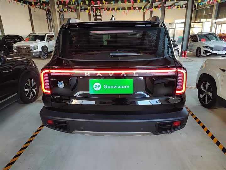 Фото 6 - Haval Dargo