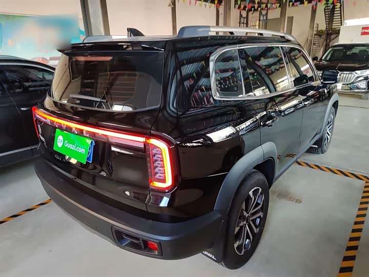 Фото 7 - Haval Dargo