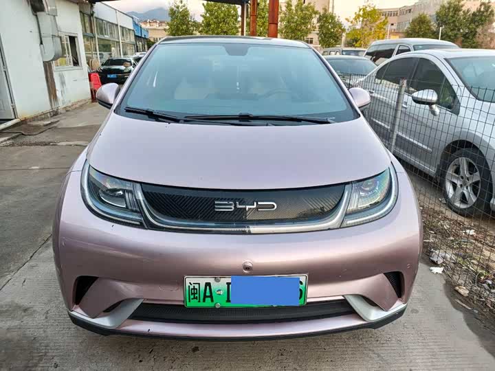 Фото 2 - BYD Dolphin
