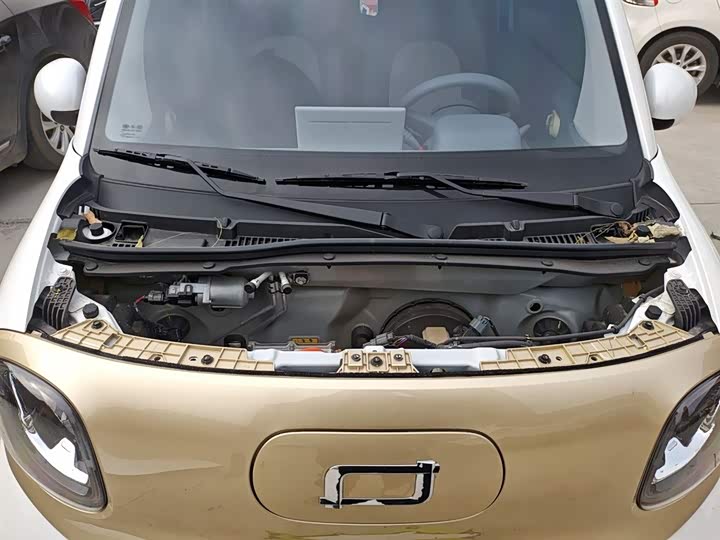 Фото 20 - Bestune Pony