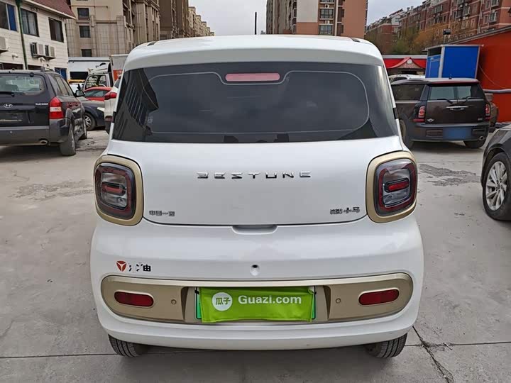 Фото 6 - Bestune Pony