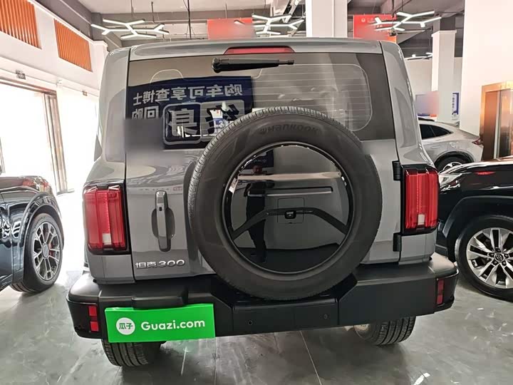 Фото 6 - Tank 300