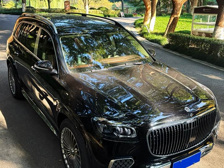 Фото 1 - Mercedes-Benz GLS-Class