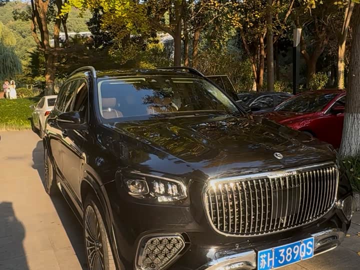 Фото 13 - Mercedes-Benz GLS-Class