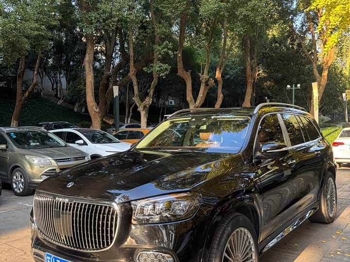 Фото 2 - Mercedes-Benz GLS-Class