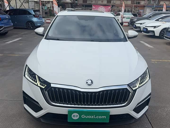 Фото 10 - Skoda Octavia Pro