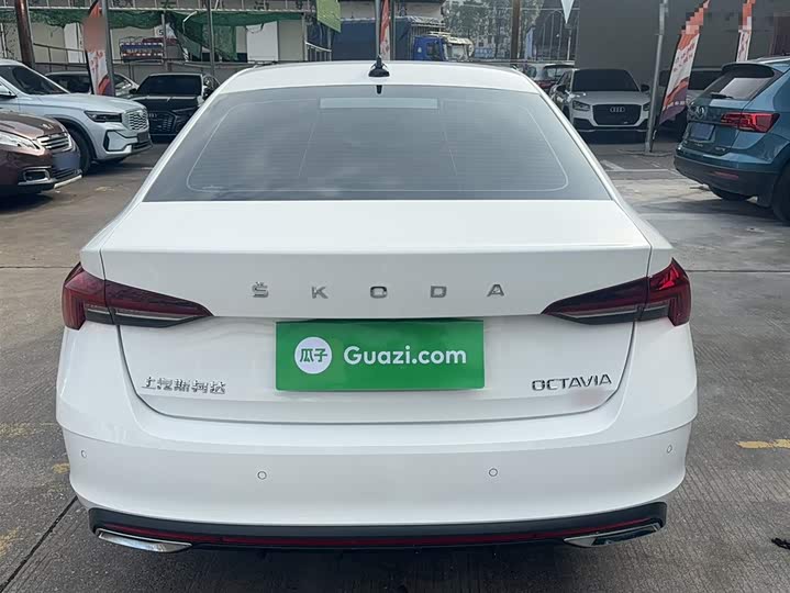Фото 15 - Skoda Octavia Pro