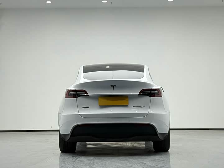 Фото 4 - Tesla Model Y