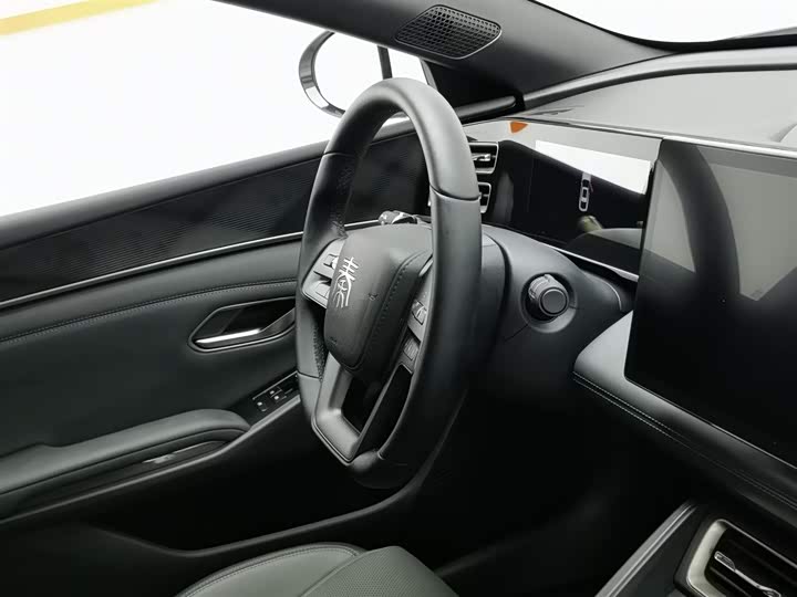 Фото 22 - BYD Qin L