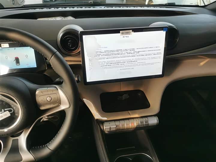 Фото 10 - BYD Dolphin