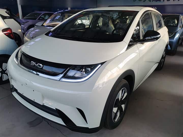 Фото 2 - BYD Dolphin