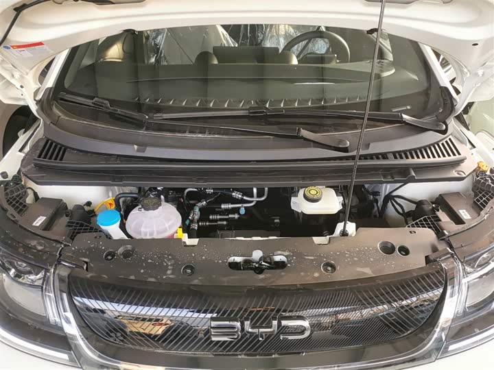 Фото 20 - BYD Dolphin