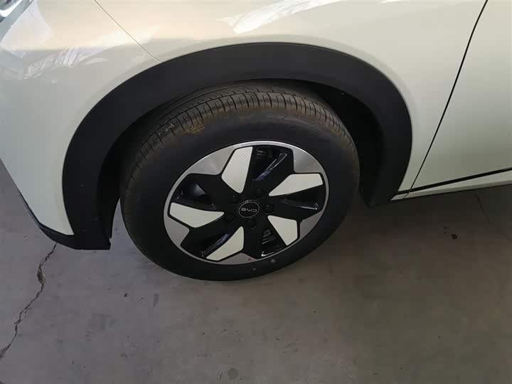 Фото 23 - BYD Dolphin