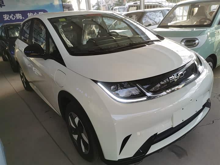 Фото 4 - BYD Dolphin