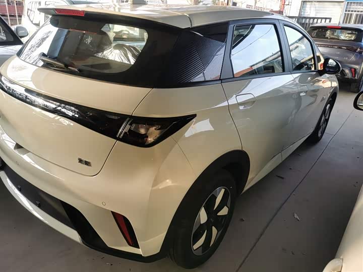 Фото 5 - BYD Dolphin